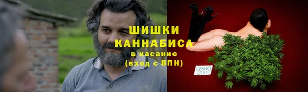 гидропоника Алзамай