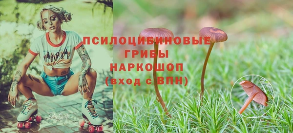гидропоника Алзамай