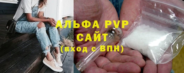 ешки Алексин
