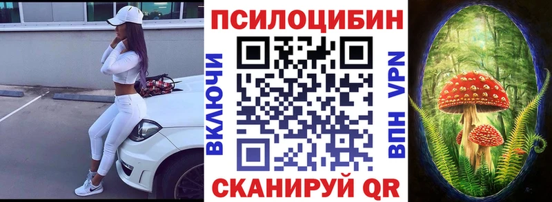 Псилоцибиновые грибы прущие грибы  купить  цена  Михайловск 